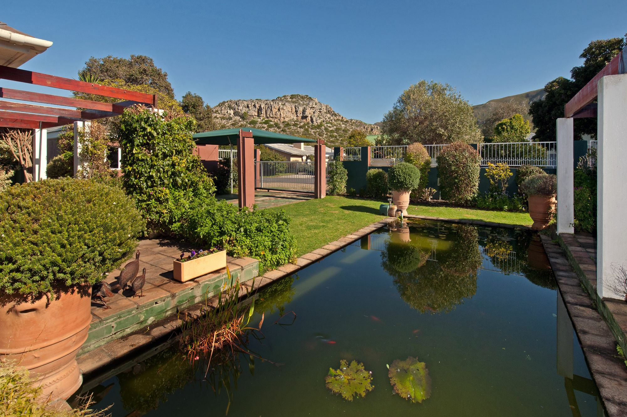 Brown Jug Guest House Hermanus Dış mekan fotoğraf